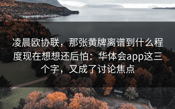 凌晨欧协联，那张黄牌离谱到什么程度现在想想还后怕：华体会app这三个字，又成了讨论焦点
