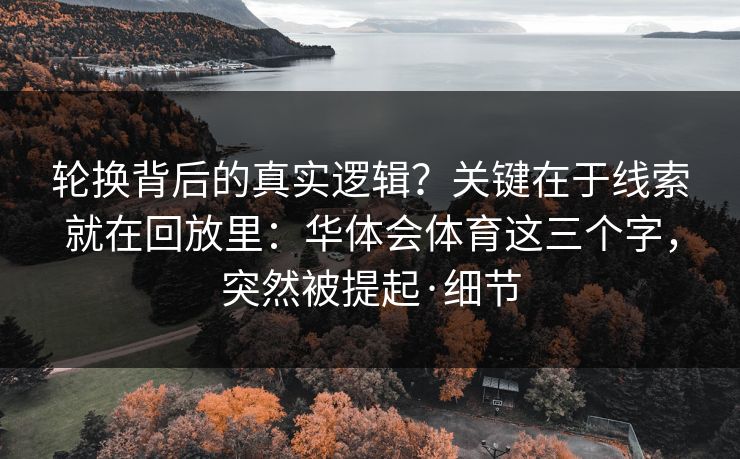 轮换背后的真实逻辑？关键在于线索就在回放里：华体会体育这三个字，突然被提起·细节