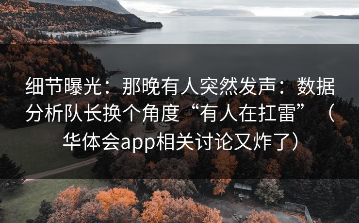 细节曝光：那晚有人突然发声：数据分析队长换个角度“有人在扛雷”（华体会app相关讨论又炸了）