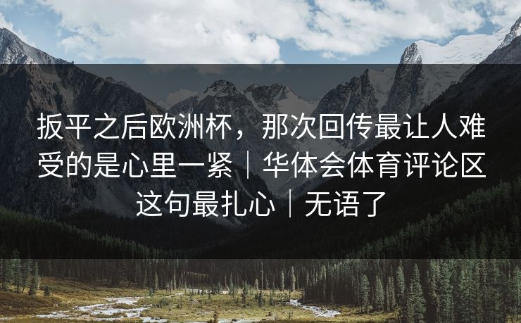 扳平之后欧洲杯，那次回传最让人难受的是心里一紧｜华体会体育评论区这句最扎心｜无语了
