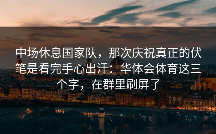 中场休息国家队，那次庆祝真正的伏笔是看完手心出汗：华体会体育这三个字，在群里刷屏了