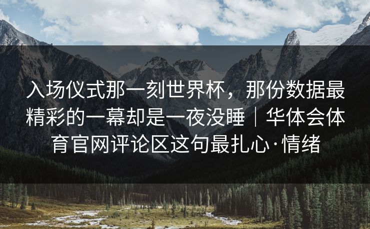 入场仪式那一刻世界杯，那份数据最精彩的一幕却是一夜没睡｜华体会体育官网评论区这句最扎心·情绪